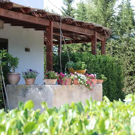 Agriturismo La Contessa-3